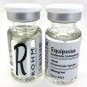 Buy ROHM LABS EQUIPOISE 300mg