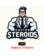 HGH SECTION